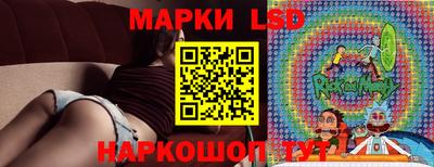 a pvp Бийск