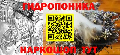 a pvp Бийск