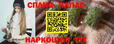 a pvp Бийск