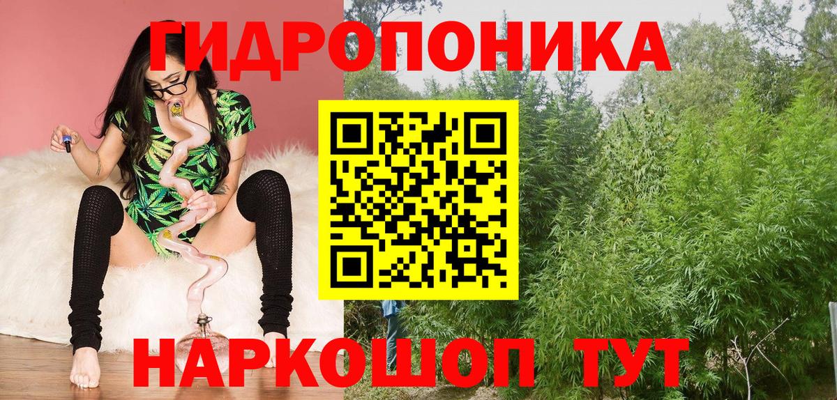 Каннабис сатива Кольчугино